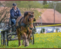 1POSIEUX 0414